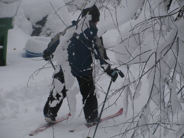 noah ski
